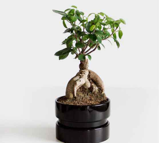 发卡网安全的云呼叫系统